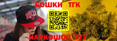 Альфа ПВП Можга