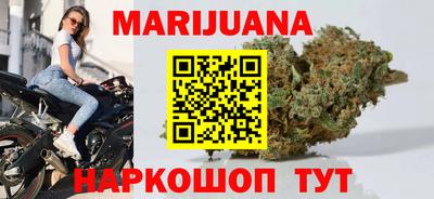 Альфа ПВП Можга