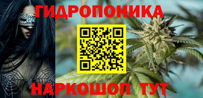 Альфа ПВП Можга