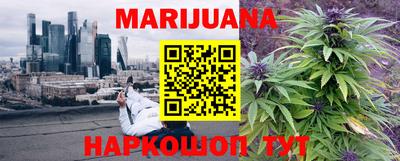 Альфа ПВП Можга